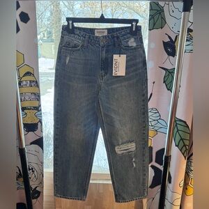 EVIDNT Malibu Anthropologie NWT size 24 jeans